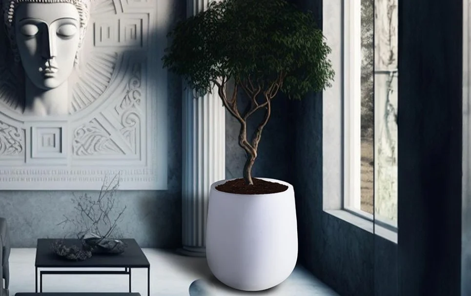 Modern Planters